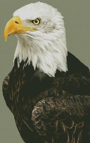 Bald Eagle Portrait by Artecy printed cross stitch chart